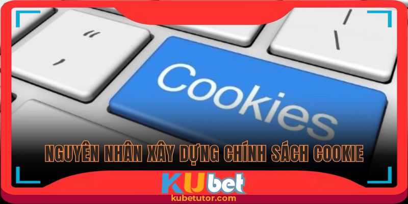Cập nhật cụ thể nguyên nhân xây dựng chính sách